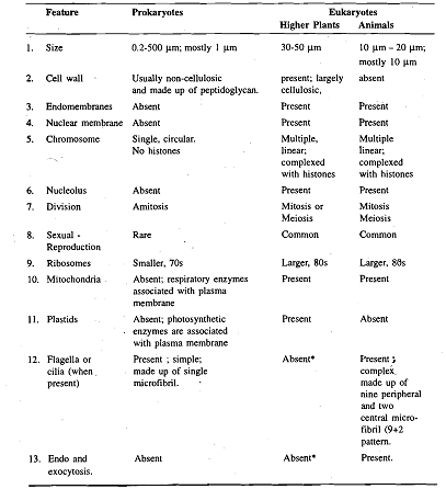 1673_Differences between cells of Prokaryotes and Eukaryotes.png